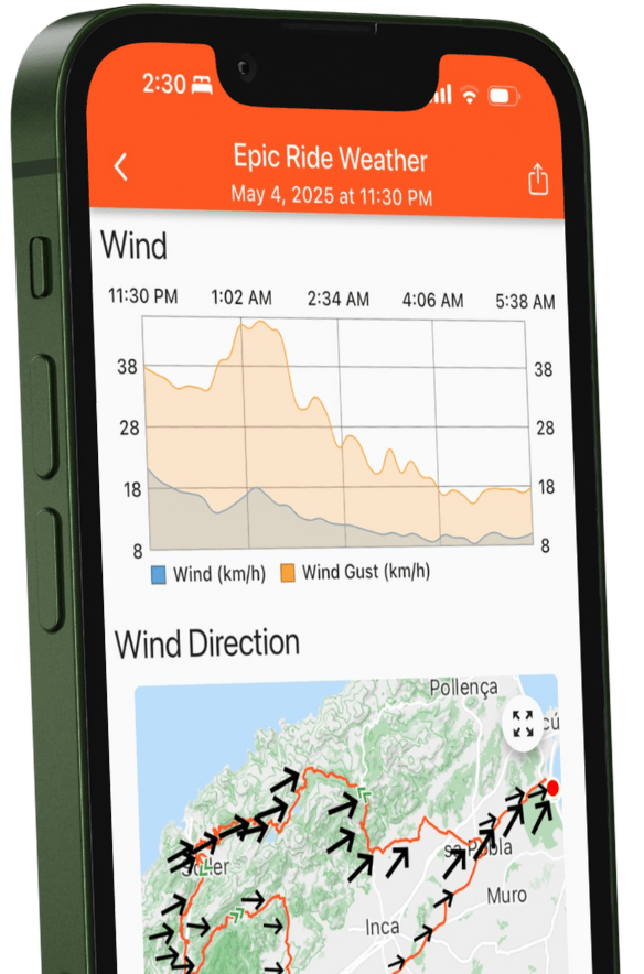 Forecast